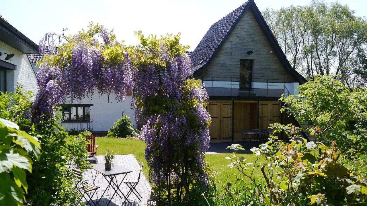We Maison D'Hotes Cassel Esterno foto